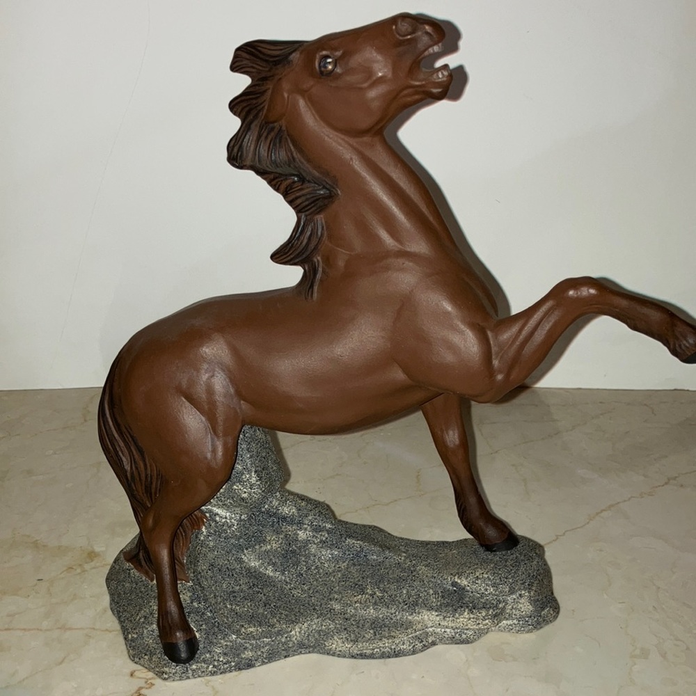 A beautiful wild horse